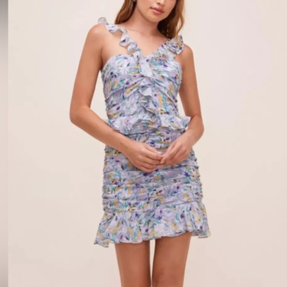 Astr the label zinnia floral dress
